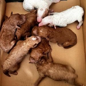 Meet your Posher, Beth